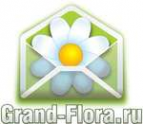 Логотип компании Доставка цветов Гранд Флора (ф-л г.Артем)