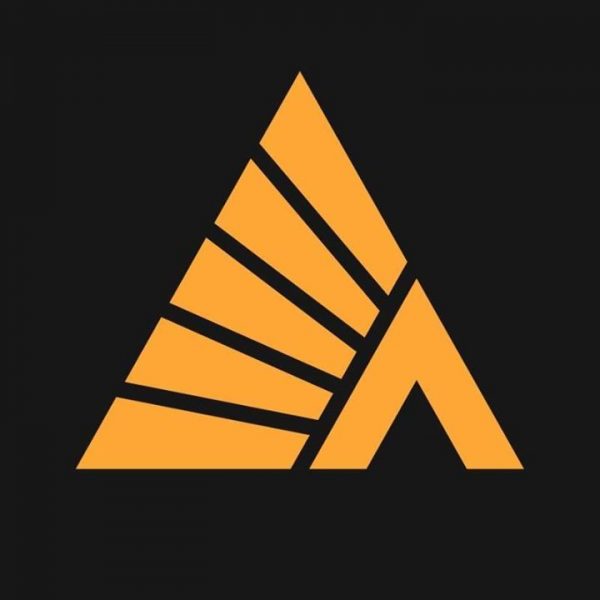 Логотип компании Деловые Линии Владивосток (г. Артём)